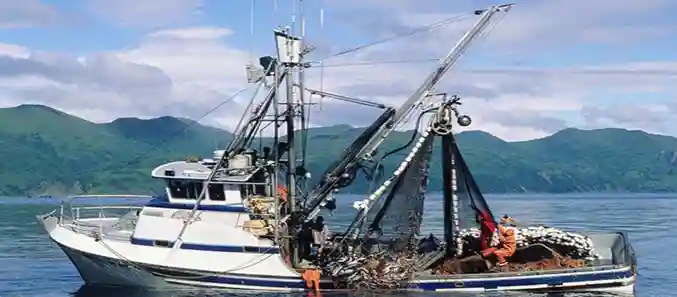 Elevator Steel and Galvanized Wire Rope Manufacturers in Chhattisgarh